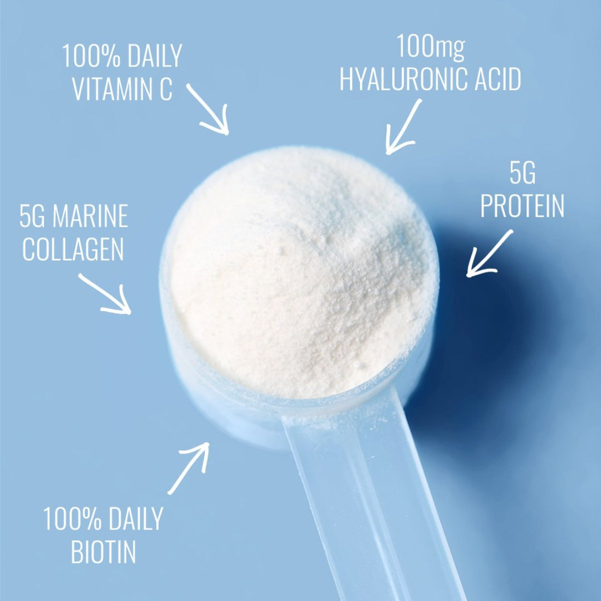 Marine Collagen Beauty Blend Ingredients